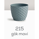 Serınova Kapadokya Saksı 2 No Gokmavi