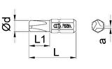 Ceta Form TRI-WING TW 5 x 25 mm Bits Uç CB/875