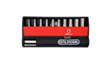 Ceta Form 2-6mm Allen Bits Uç Takımı + Tutucu 11 Parça CB/ST114 