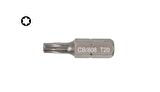 Ceta Form T20 x 25 mm Torx Bits Uç CB/808