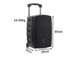 GoldAudio PA2312-EE Portatif Taşınabilir Ses Sistemi 300Watt 2xEl Telsiz Mikrofonlu