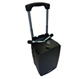 GoldAudio PA2312-EE Portatif Taşınabilir Ses Sistemi 300Watt 2xEl Telsiz Mikrofonlu