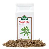 Arifoğlu Yoğurt Otu 55g