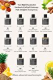 E10 Erkek EDP Parfüm 50 ML