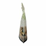 Yeşi̇l Kuruyemi̇ş Desenli̇ Doypack 20x30+5 Cm 1000 Gr 1000 Adet