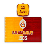 Galatasaray 17x24 15 Yaprak Karton Kapak Spiralli Resim Defteri 12 Adet