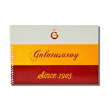 Galatasaray 17x24 15 Yaprak Karton Kapak Spiralli Resim Defteri 12 Adet