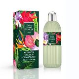 Yağmur Ormanları 68 Derece Cam Şişe 400 ml Kolonya