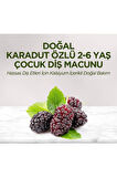 Doğal Karadut Özlü 2-6 Yaş Çocuk Diş Macunu 60 Ml