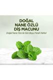 Diş Macunu Nane Özlü 90 ml X 3 Adet