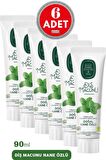 Doğal Nane Özlü Diş Macunu 90 ml 6 Adet