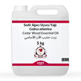 Sedir Ağacı Uçucu Yağı Cedrus atlantica 5 kg