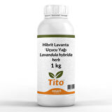 Hibrit Lavanta Uçucu Yağı Lavandula hybrida herb 1 kg