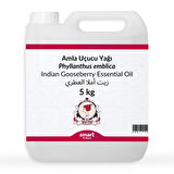 Amla Uçucu Yağı Phyllanthus emblica 5 kg