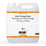 Premium Amni Visnaga Mum Esansı 5 litre