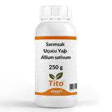 Sarımsak Uçucu Yağı Allium sativum 250 g