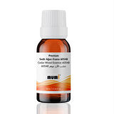 Premium Sedir Ağacı Mum Esansı 60548 10 ml