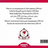 Civanperçemi Maserasyon Yağı Achillea millefolium 250 ml
