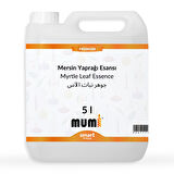 Premium Mersin Yaprağı Mum Esansı 5 litre