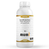 Premium Zencefilli Latte Mum Esansı 1 litre