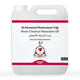 At Kestanesi Maserasyon Yağı Aesculus hippocastanum 5 litre