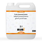 Premium Tuzlu Karamel Mum Esansı 5 litre