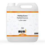 Mahlep Mum Esansı 5 litre