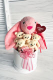 SOLE Premium Özel Hediye Kutusunda  45 cm Pembe Bunny Tavşan ve 5 Adet Krem Peluş Ayıcık Buketi