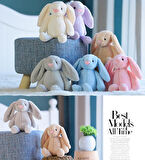 SOLE Premium Özel Hediye Kutusunda 45 cm Fuşya Bunny Tavşan ve 5 Adet Pembe Peluş Ayıcık Buketi