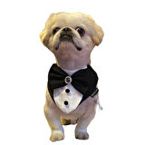 Gedyco Siyah Smokin Köpek Fuları