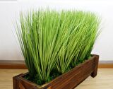 Yapay Çiçek Saz 60 cm Plants Grass Dekoratif Çiçek 