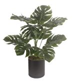 Yapay Çiçek Monstera Deve Tabanı Siyah Saksılı Salon Çiçeği 15 Yaprak