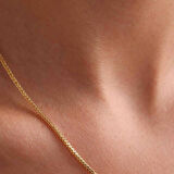 14 Ayar Altın Palmiye Zincir Kolye 1.25 mm