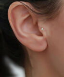 14 Ayar Altın Damla TaşTragus Piercing