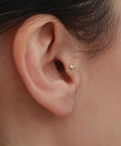 14 Ayar Altın Köpek Motifli Tragus Piercing