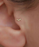 14 Ayar Altın Köpek Motifli Tragus Piercing