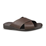 RENON-7 (40-45)