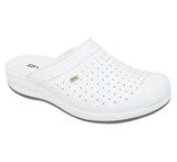 9844-1 ZENNE (35-41)