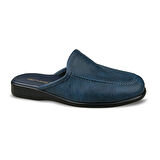 RENON-5 (40-45)
