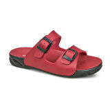 CAPRI-22 (19-34)