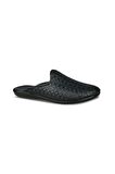 PIERRO-7 (40-45)