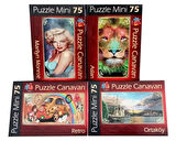4 Adet 75 Parça Mini Puzzle Seti 4x75 Toplam 300 Parça 4 Ayrı Çeşit Pazıl