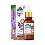 Arifoğlu Lavanta Yağı 20ml