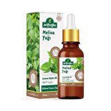 Arifoğlu Melisa Yağı 20ml