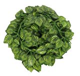 Yapay Çiçek Sarmaşık 12 li Paket 230 cm