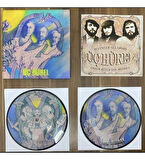 3 Hürel Sevenler Ağlarmış / Ömür Biter Yol Bitmez 45 lik Plak Picture Disc Plak Özel Numaralı Plak