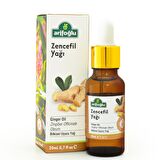 Arifoğlu Zencefil Yağı 20ml