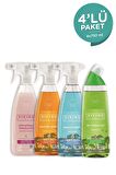 Viking Premium çok Amaçlı, Banyo, Mutfak, Wc) Paket 750 Ml X 4'lü