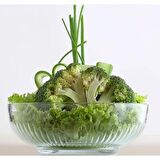 Lav Tokyo Büyük Boy Salata Kasesi