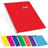 KESKİN COLOR 60 YAPRAK CIZGILI DEFTER SPIRALLI PLASTIK KAPAK